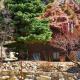 Charming Canyon Cabin, Cedar City (fotografie 6)