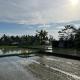 Shri Wedari Private Pool with Ricefield View, Tampaksiring - Fotografie 4