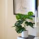 MARX City-Apartment Trier Zentrum - für Geschäftsreisende und Paare, 特里尔 - 照片 7