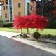 APPARTAMENTO ACERO - 2 min walk to Bernina Express - 150metri, Tirano