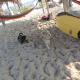 Natevo Surf Camping, Barra (foto 8)