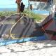 Natevo Surf Camping, Barra (foto 10)