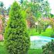 Aneys River View Home stay & Resort, Palakkad - Foto 5