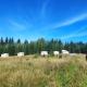 Eco glamping - Carpathians. Retreat hub Dzin Space Verchovyna - Fotografie 9