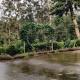 Kathadia Homestay, Cherambane (foto 4)