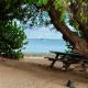 Les Paletuviers, Marigot (Foto 4)