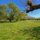 les Refuges du Vignoble, Limeray (фото 7)
