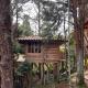 Eco Hotel Nigüíto, Medellín - Fotografie 5