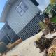 Cove Cabin, Whangaroa (foto 5)