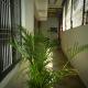 Shri Narayanam Guest House and Home Stay Ayodhya - Photo 9