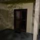 Wendy Stevenson, Paraty - Foto 6