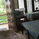 Fios Aparts, Kochi - Foto 2