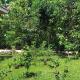 Amini Guest House, Jatiayu (foto 10)