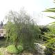 Villa Camilla in Otranto, Alimini (fotografie 6)