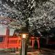 City Hotel Southern Cross, Tokio - Fotografie 2