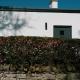 The Snook, Loanhead (foto 6)