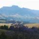 Annasrus Mountain Cottage, Champagne Valley