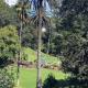 Arthur house 2 bedrooms balcony good view wifi easy parking, Auckland - Fotografie 5