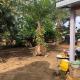 La petite ferme d Edith, Kribi (foto 8)