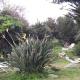 Parete srl - Casa Conigli, Terrasini (photo 6)
