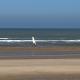 La Descenderie - Bord de mer, Sangatte (fotografie 3)
