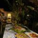 Calamansi Garden - Full House Rental, Burgos (foto 8)