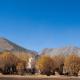The Postcard in The Himalayan Willows, Stok, Leh, Leh - Foto 6