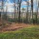 Pine Hill FLX Retreat, Cohocton (fotografie 2)