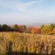 Pine Hill FLX Retreat, Cohocton (fotografie 3)