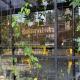 Laureles Suite 702 Faro 78 Queen bed con Aire, Медельин - Фото 6