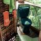 TreeHouseInCostaRica com, Tigre (Foto 3)
