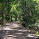 Treeside Studio I Private Properties, Margaret River - Foto 10