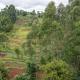 Marie Homes, Othaya - Fotografie 9