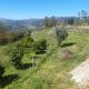 Refúgio das Hortênsias, Cinfães (Foto 3)