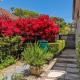 Cozy Studio close to CBD & Beach in westmere, Auckland - Fotografie 3