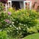 The Nest at Winnall Luxury 19th Century Cottage, Lineholt (fotografie 3)