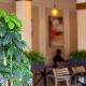 Hotel Cavallino, Kakamega - Photo 7