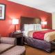 Econo Lodge Kearney - Liberty, Kearney (foto 4)