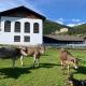 Mooshof - Farm apartment for families, motorcyclists, hikers & cyclists in Stelvio National Park, Prato allo Stelvio