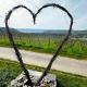 Fewo Rieslingglück - Urlaub im Wein- und Ferienort Bekond, Bekond - Photo 7