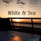 White & Sea, Face à la mer Bray-Dunes - Photo 1