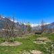 Kahaani - Luxury Wooden Chalet in Manali, Jagatsukh - Foto 4