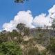 Periyar Hills Homestay, Thekkady, Thekkady - Φωτογραφία 6