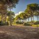Appartement Nature & Plage, Menzel Jemil (photo 6)