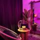 Love Room - Le Mystic, Saint-Symphorien (zdjęcie 9)