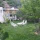 Mountain Villa - Hunza Valley, Hunza - Fotografie 7