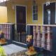 Kingmosei Hide away, Basseterre