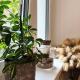 CozyHome Lux Apartment, Bratislava - Photo 5