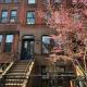 Beautiful One Bedroom in NYC, Brooklyn (Foto 2)