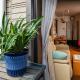 GP House, Tokio - Foto 2